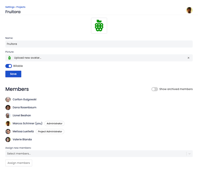 Project view with the project edit form and assigned employees.